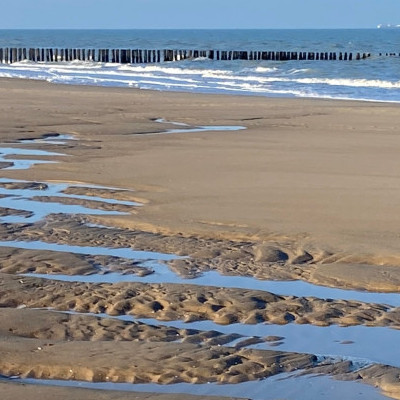 sunny winter day on beach in Zeeland